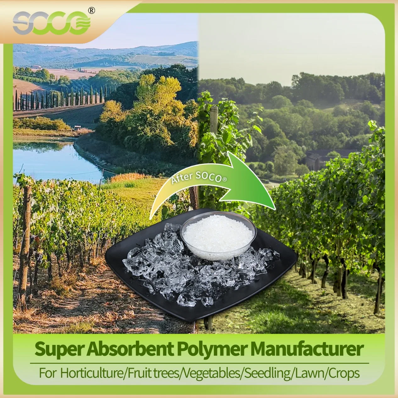 Super Absorbent Polymer Powder,Sodium Polyacrylate Hydrogels,Potassium Polyacrylate Crystal Gel,Sap Manufacturer for Agriculture,Industrial,Plants,Vegetables