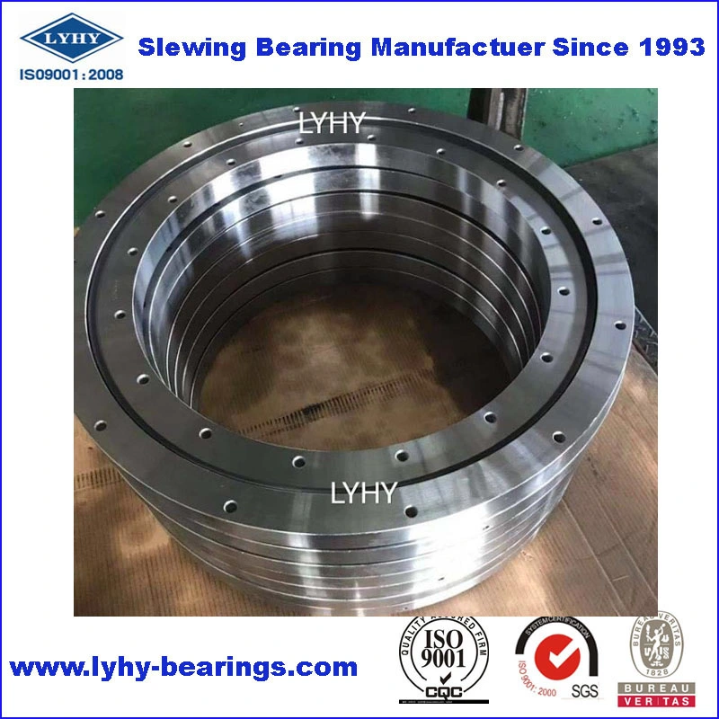 Slew Bearing Slewing Gear with Nickel Plated for Water Treatment Equipment (010.20.200)