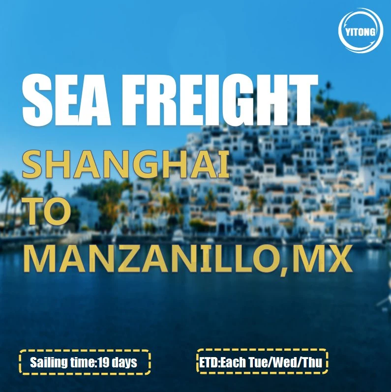 Sea Freight Logistics From Qingdao to Manzanillo