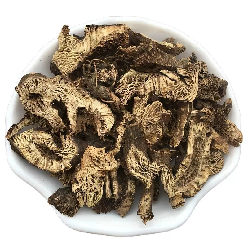 Medicina herbal tradicional chinesa secaram rizoma Cimicifugae fatias Sheng mA
