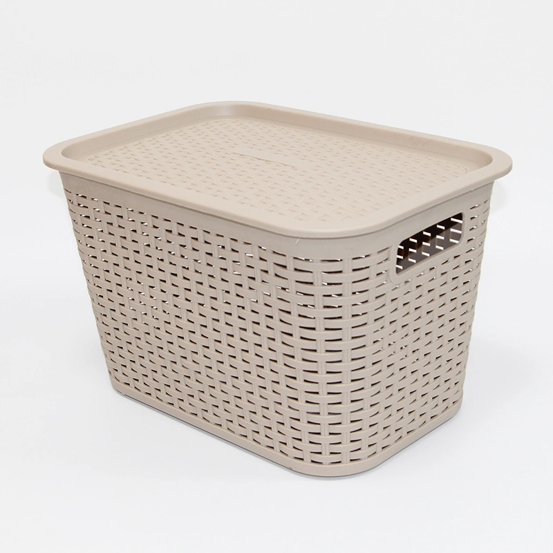 Precision Mould Manufacture and Injection Molding Factory Customized Plastic Basket Mold