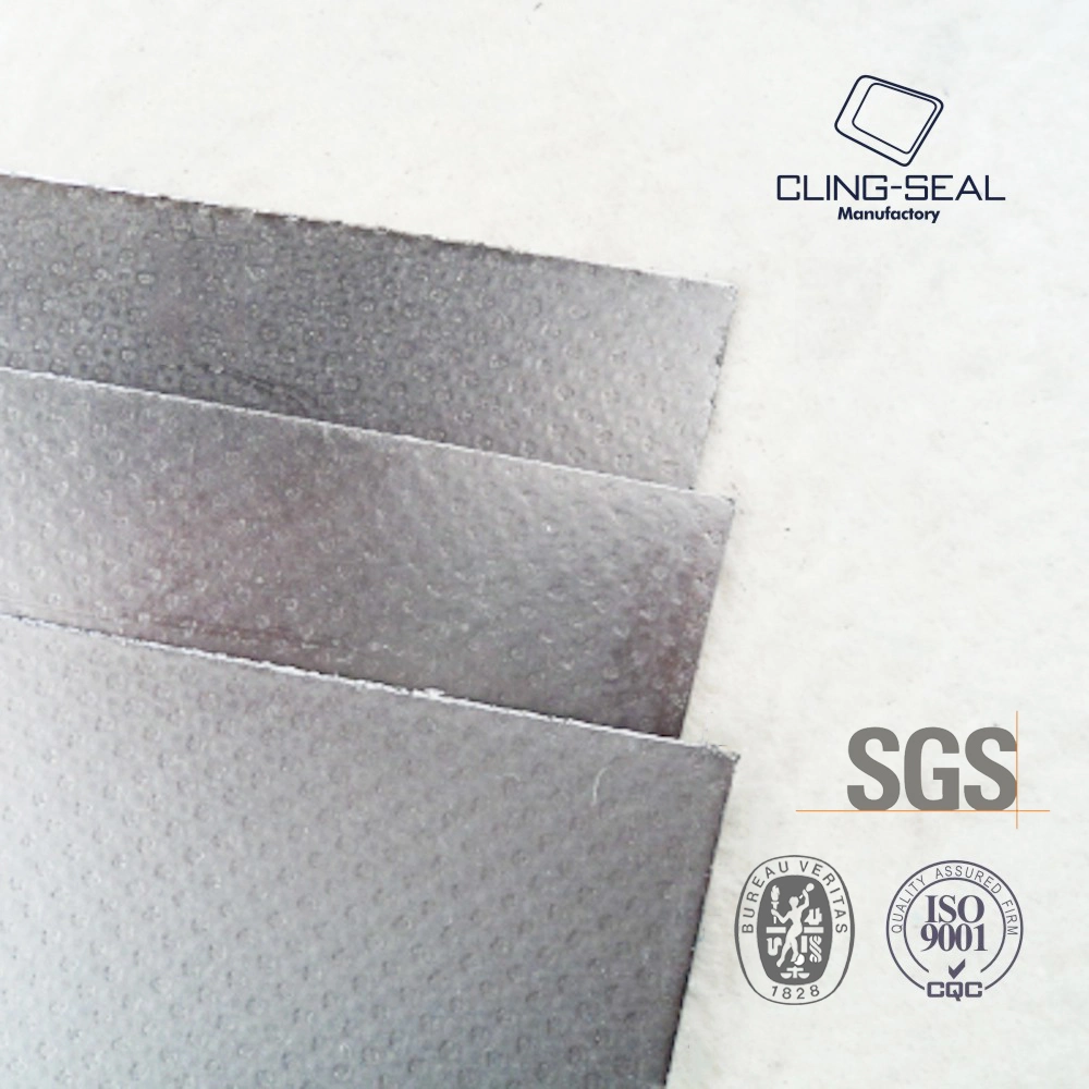 with SS304 Tanged Insert Reinforced Graphite Sheet