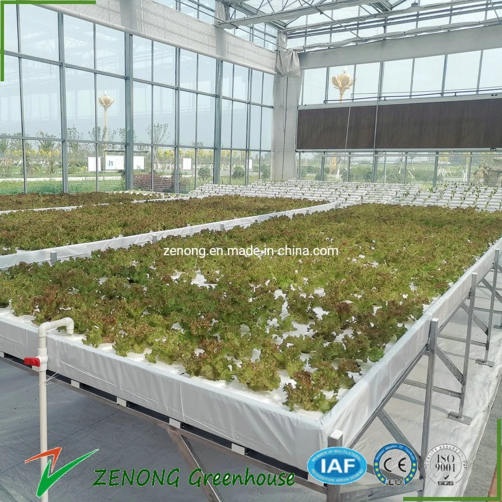 Espuma de cultivo de aguas profundas de la DWC balsa flotante planta creciente del sistema de hidroponía