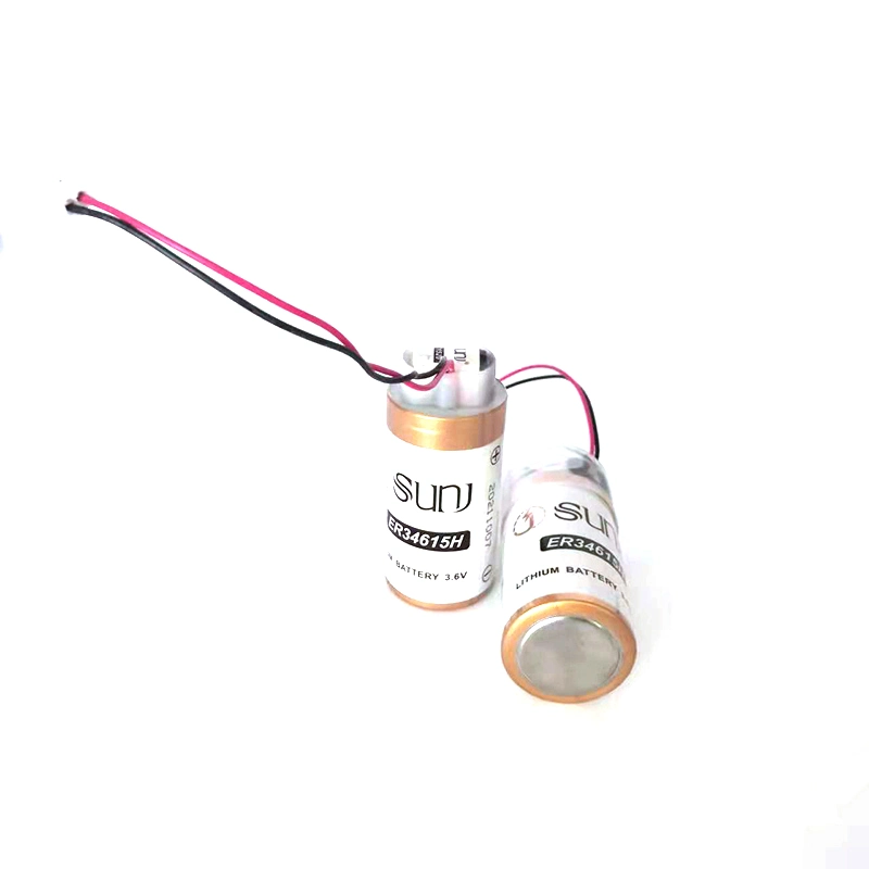 3.6V 19000mAh Er34615h Plus EPC1520 Lithium Battery Pack for The Meter Category