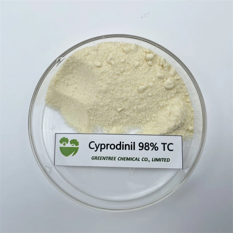 CAS No. 121552-61-2 Fungicide Cyprodinil 98% Technical