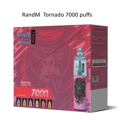 Wholesale Bang Box 5000 Puffs Randm Tornado 7000 Disposable Vape with Type-C Charging 14ml