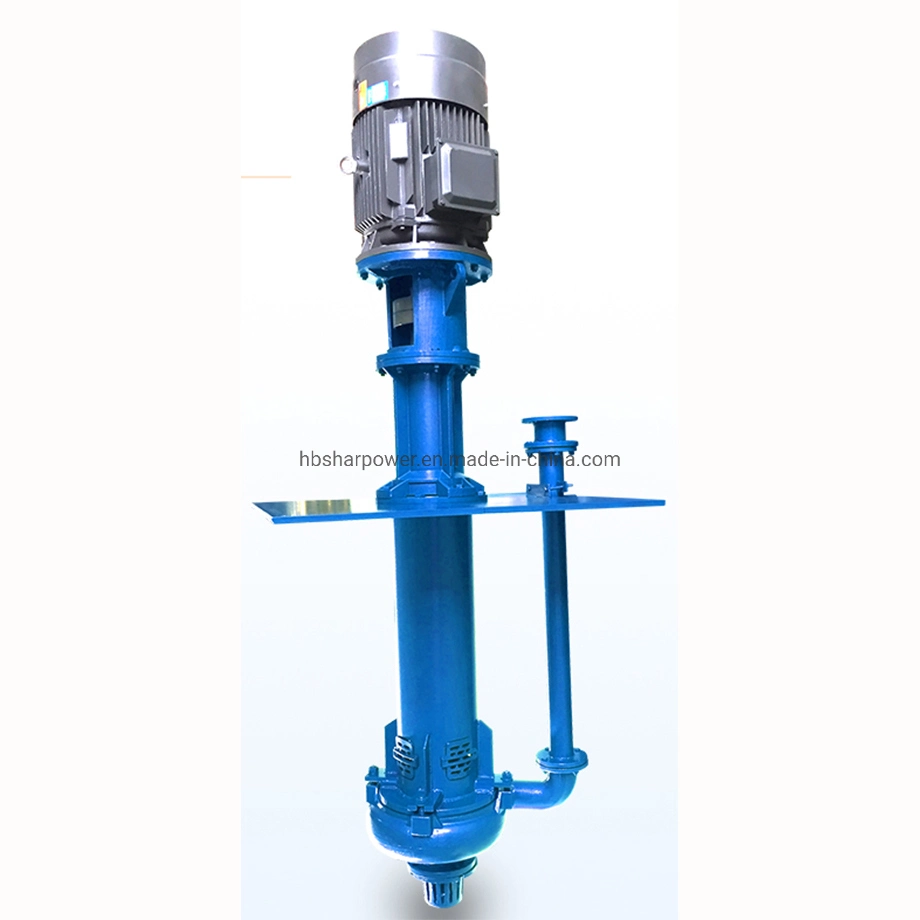 Vertical Under Liquid Slurry Pump Mine Sewage Sewage Pump High Lift River Sand Suction Mud Pump