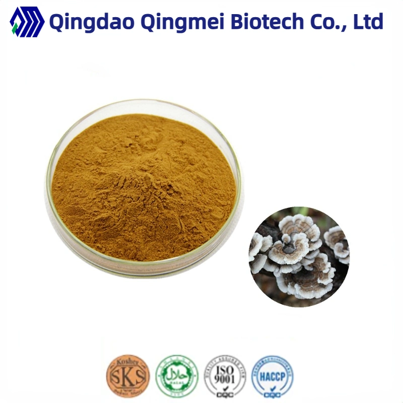 Polysaccharides10%-50%/Triterpene 1% Mushroom Extract Coriolus Versicolor Extract