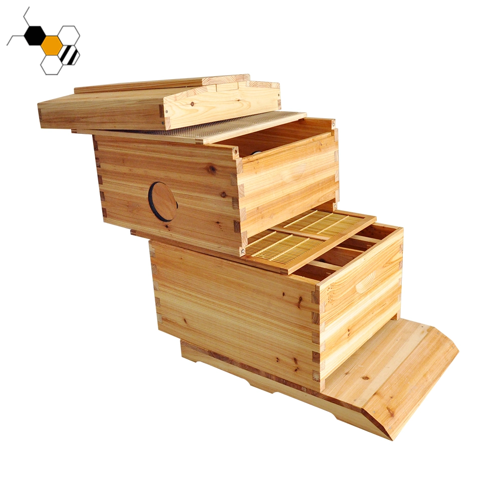 Auto-flujo de Hive Bee de Honey Beehive