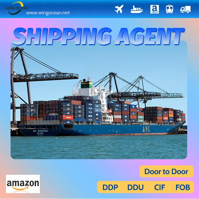 Fba DDP Shipping Serive From China to USA by Wingocean Logistics