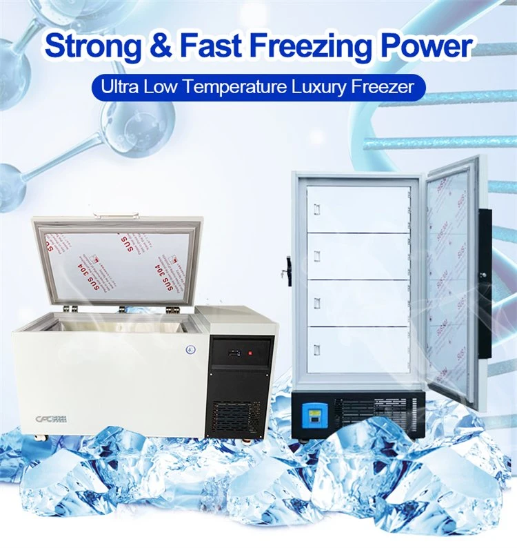 Vaccine Refrigerator Medical Lab Use Ultra Low Temperature Refrigerator Freezer Dw-60W300