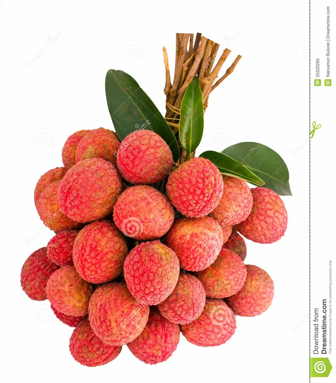 Qualité supérieure Prix en vrac 100% extrait de litchi de Lychee séché pur Poudre