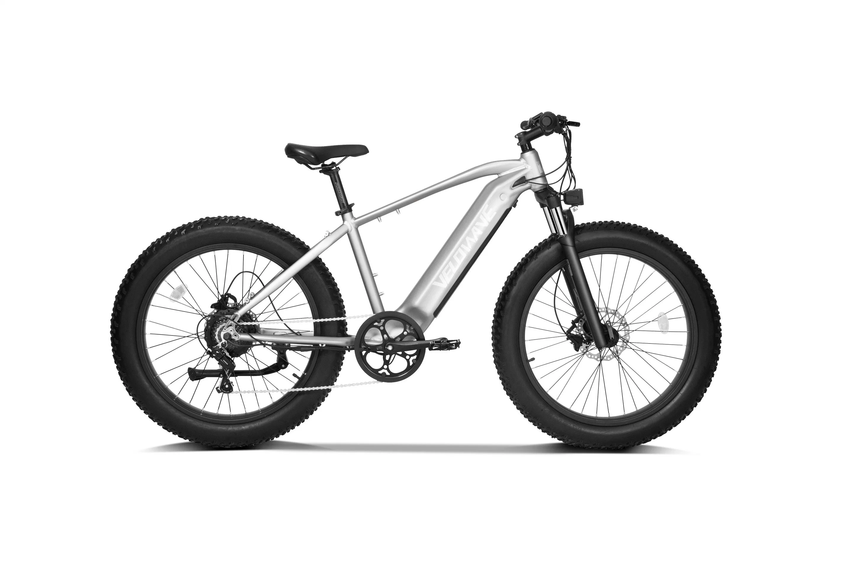 Dirt Electric Bike 750W Motor 48V Lithium Battery Mountain Bike