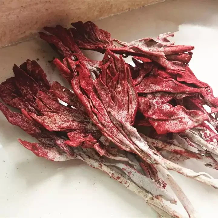 Bulk organic dragon blood sage red smudge stick