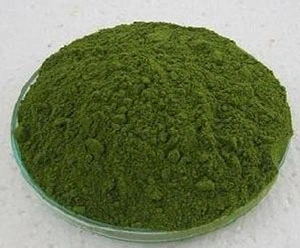 Горячий SOST торговли натуральным Moringa Oleifera экстракт листьев порошок