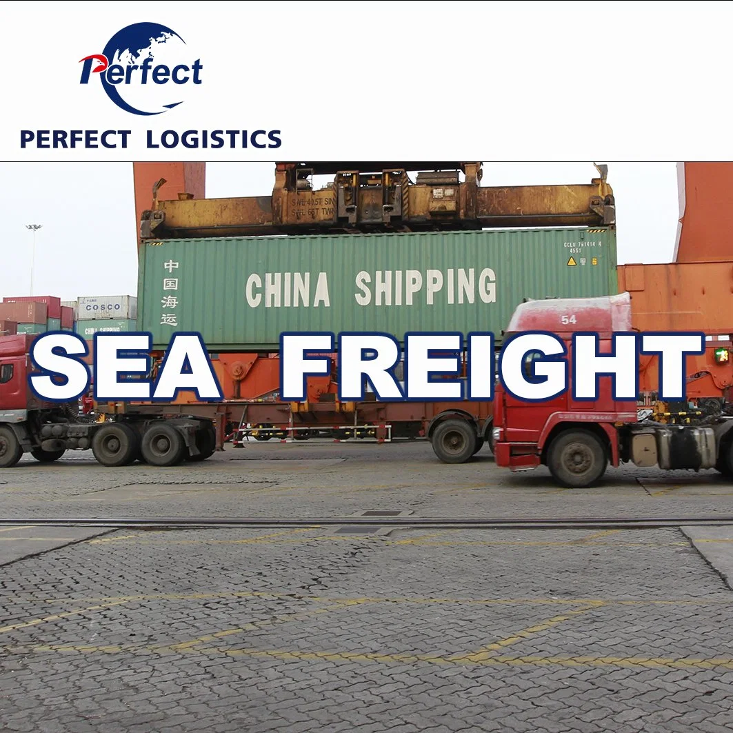 FCL LCL Customs Clearance Ocean Shipping Freight Sea Cargo Ship Price