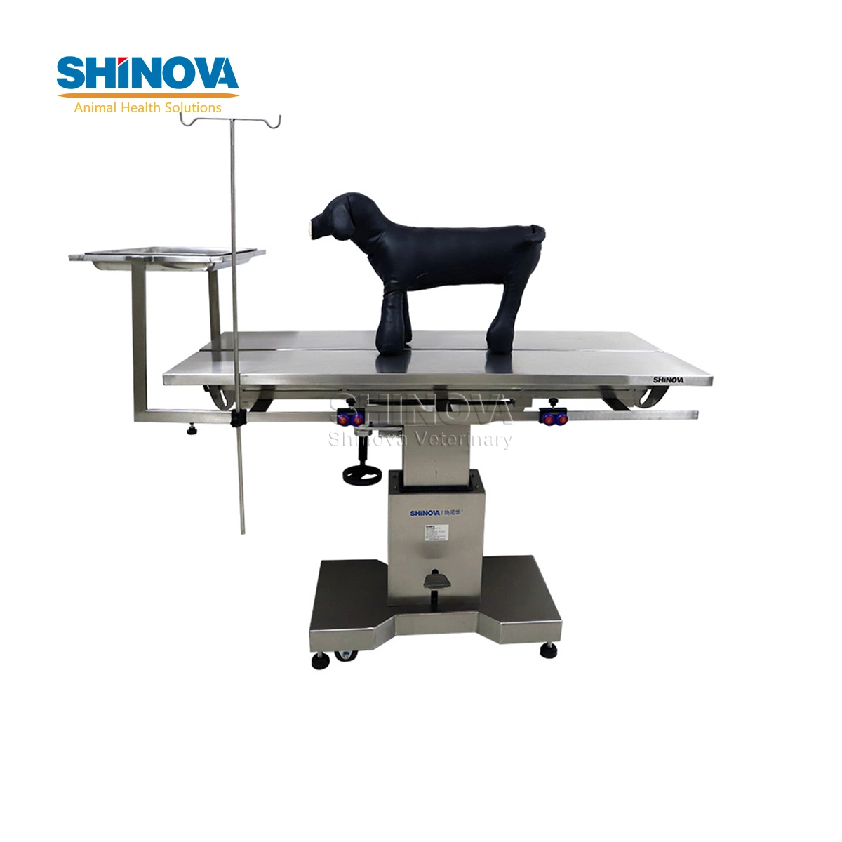 Veterinary Equipment Hospital Equipment Operating Table (OT-02CV)