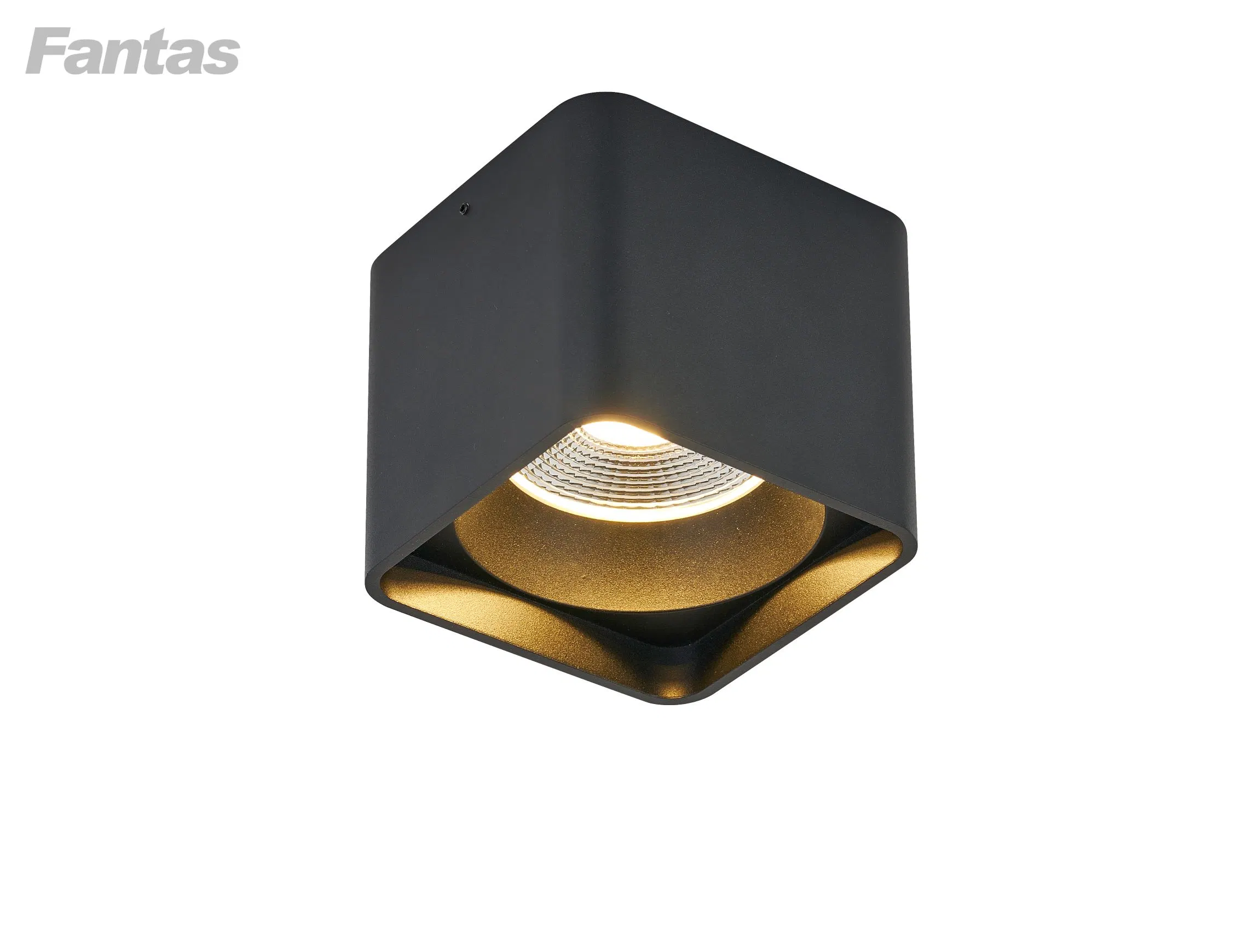 Feu de croisement LED à forte luminosité à chaud avec corps de lampe en aluminium IP54 Montage en surface