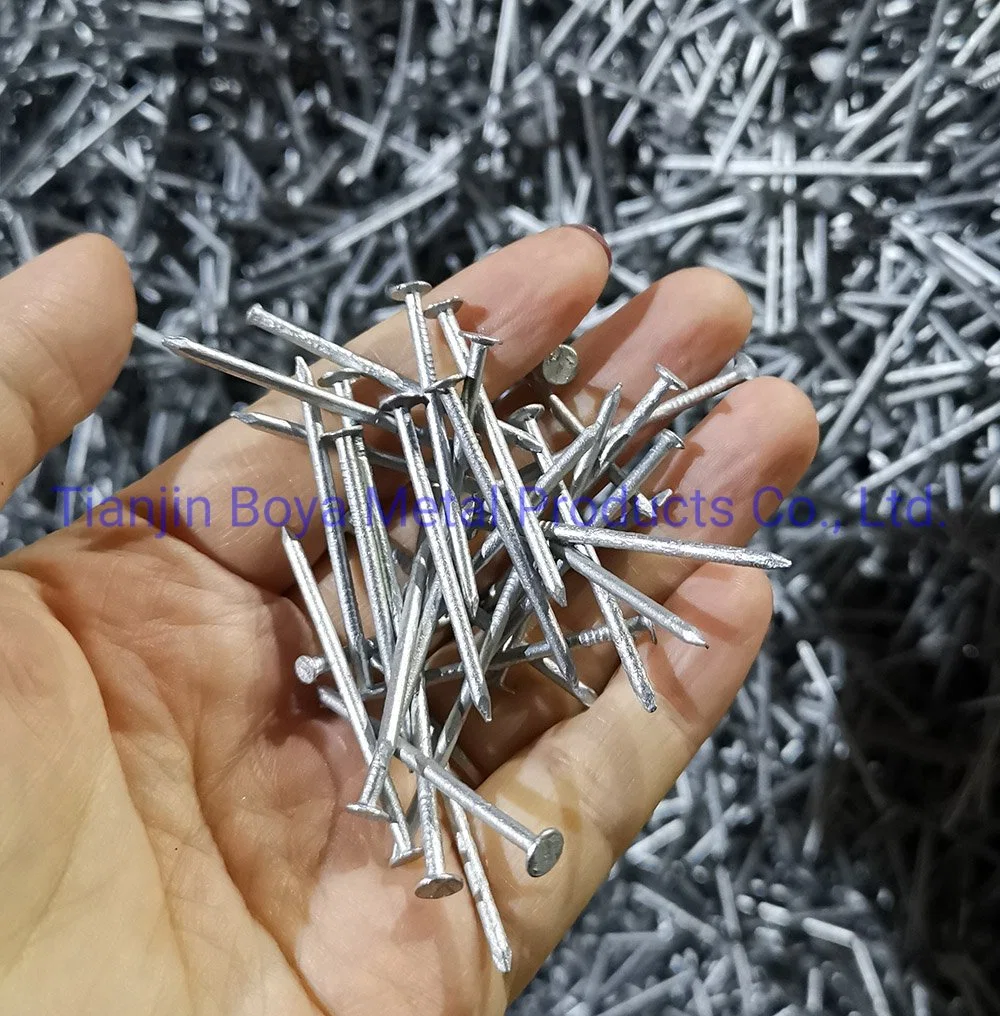 Hot Dipped Galvanized Common Nail/Polished Nail/Building Nail/Iron Nail/Hardware Used for Building Construction