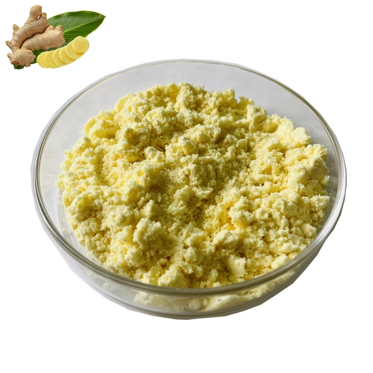 100% Natural Ginger Extract Ginger Root Extract Ginger Extract Powder