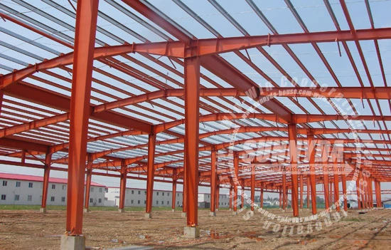 Construction Steel Structure Gym Design Supplier in China (SD-4365)