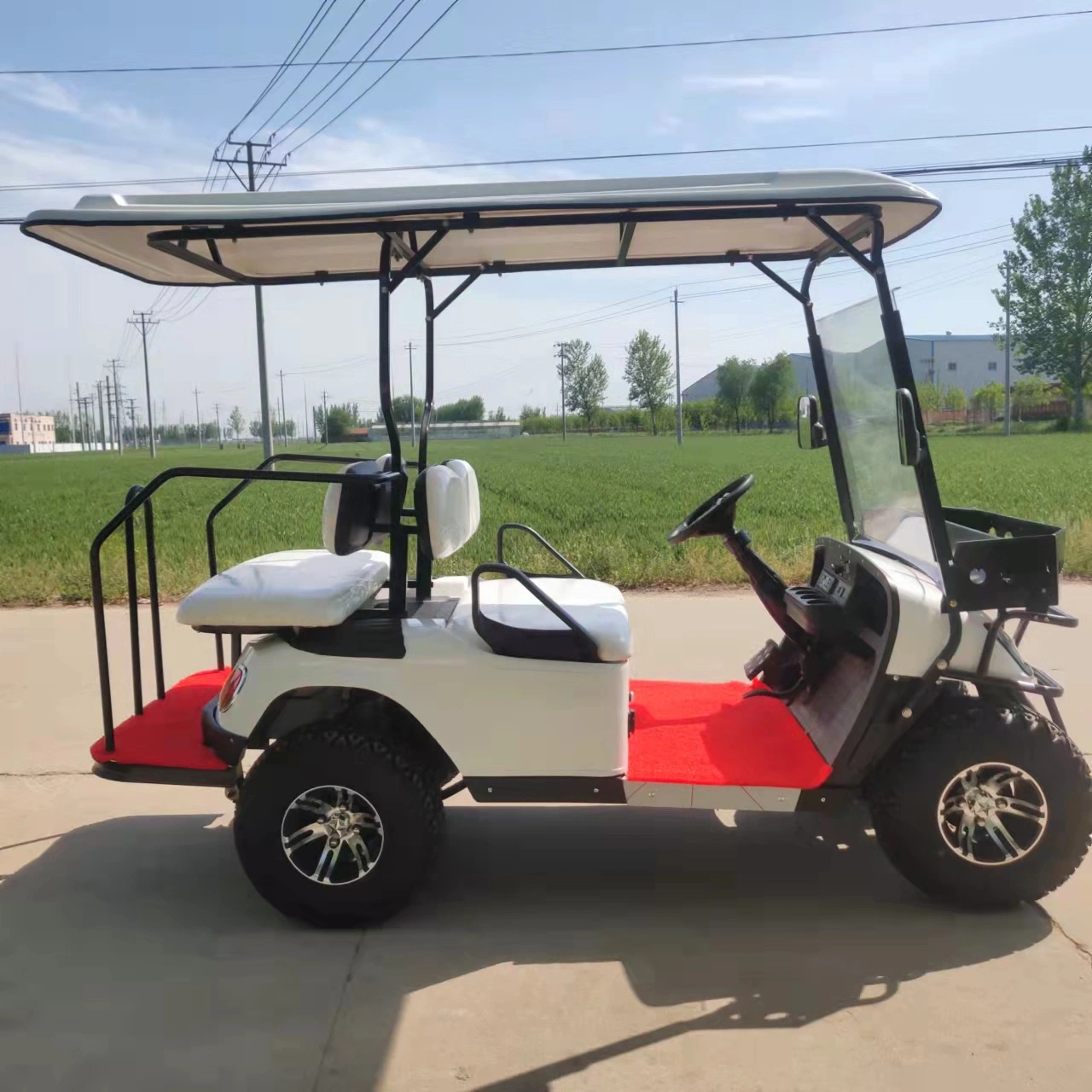 Factory Export CE Certificated 2seater Golf Cart Electric Golf Buggy Electric Vehicle