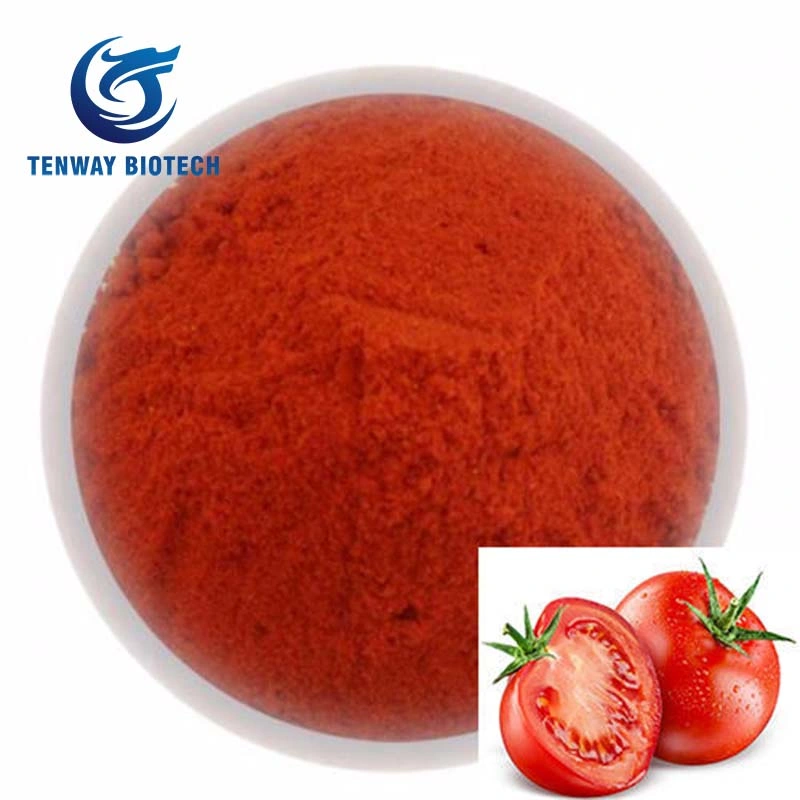 Ingrédient alimentaire biologique tomate poudre pour l'approvisionnement en usine de poudre de ketchup