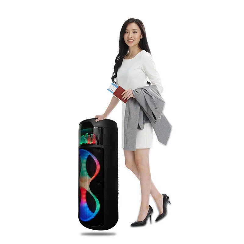 2023 New Dual 8" High Bass High quality/High cost performance  Loud Bluetooth Karaoke Wireless Speaker