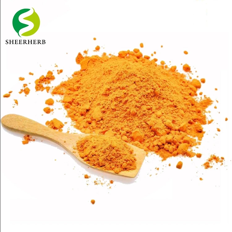 Hight Quality Free Sample Organic Turmeric Root Powder Antioxidant 95% Curcumin