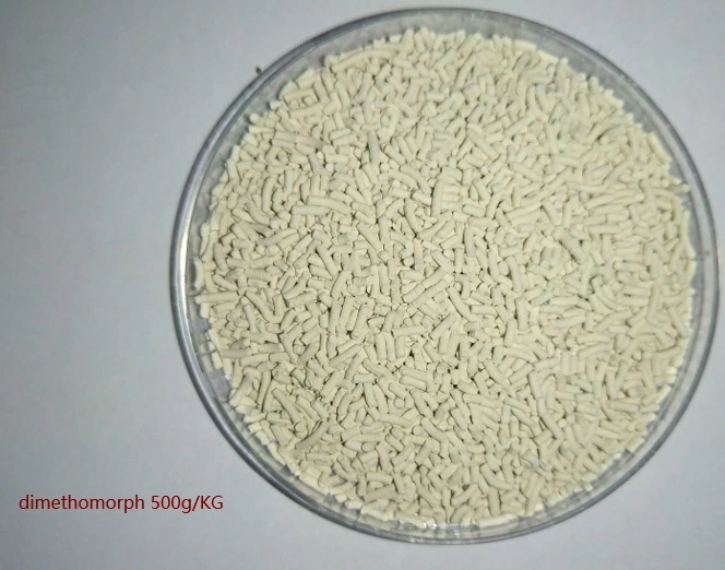 Fungicid Fluazinam 500g/Lsc Broad Spectrum Bactericide