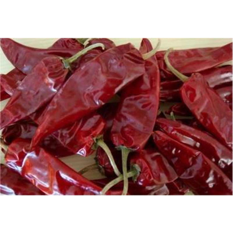 Chinese Chili Factory Сухая Chili Peppers Оптовая продажа