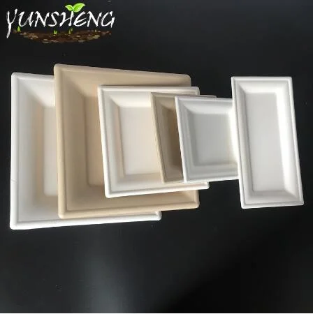 Bagasse Compostable Durable Paper Square Plate for Fruit