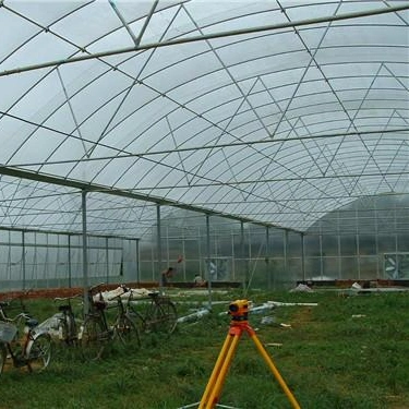 High quality/High cost performance Plastic Film Agro Economic Poly Farm Multi Span Agriculture Greenhouse