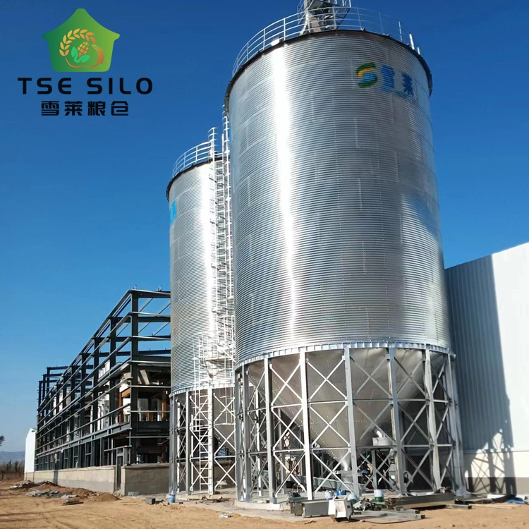 Full Automatic Hot Galvanized 51ton Steel Silo for Animal Food with Cone Bottom