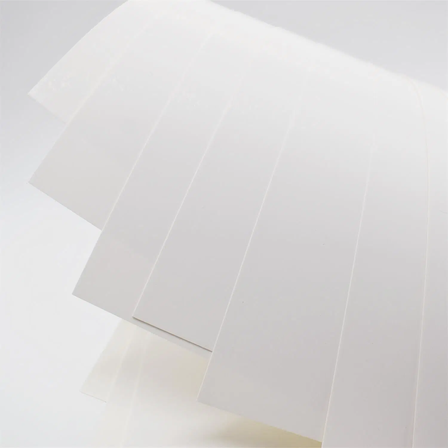 C1s Coated Ivory Board/ Fbb White Paperboard