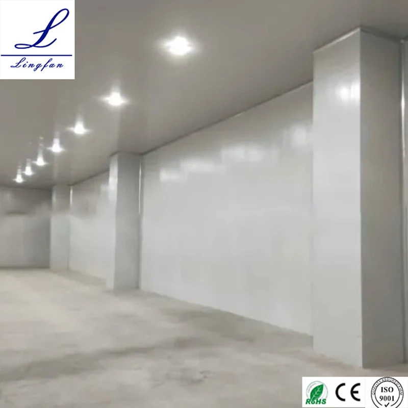 Cold Storage Room PU Insulation Panel 120mm Thinckness Low Temperature Walk in Freezer for Slaughter House