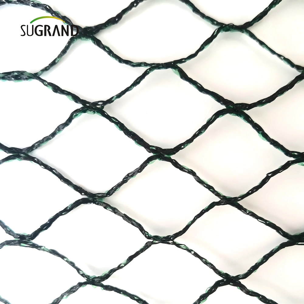 Original Factory Exports Diamond and Hexongal Bird Net Trap Product