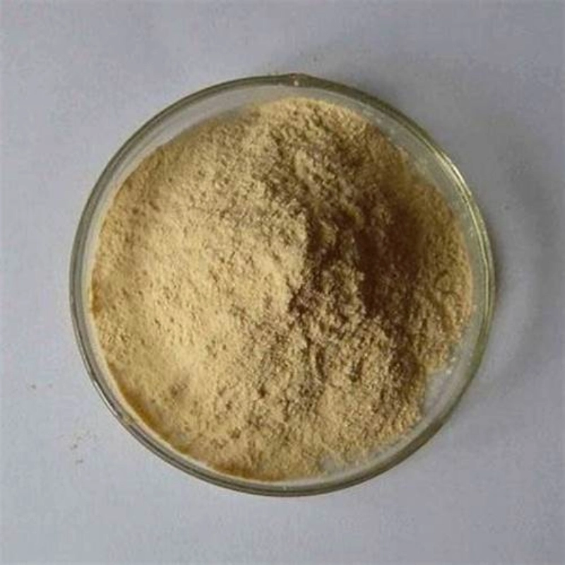 GMP Cola Fruit Powder