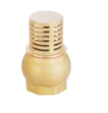 Compression Brass Straight Non-Return Valve with Drain