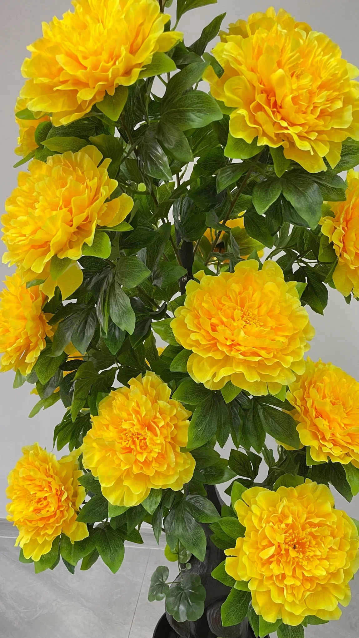 Почти характера Arhat полюс 16 Peony можно настроить, искусственных и декоративных растений желтые цветы дерева