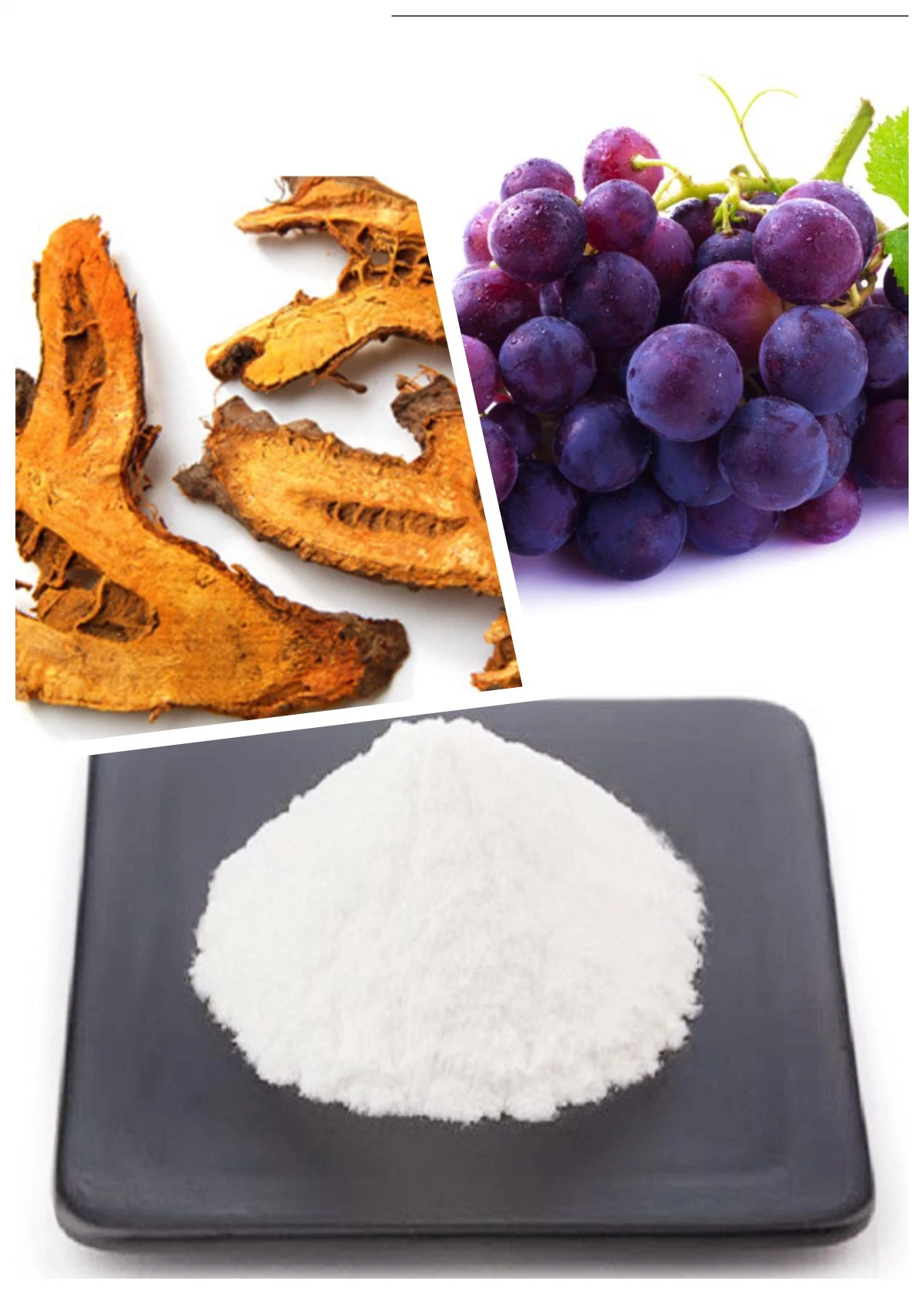 Nutrición Alimentos saludables Extracto de maleza Gigante Trans-Resveratrol 501-36-0 polvo