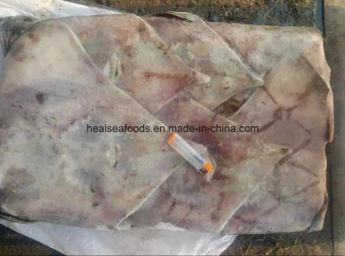 Wholesale/Supplier Seafood Frozen Red Stingray Ray Fish/Raja Porosa Fillet