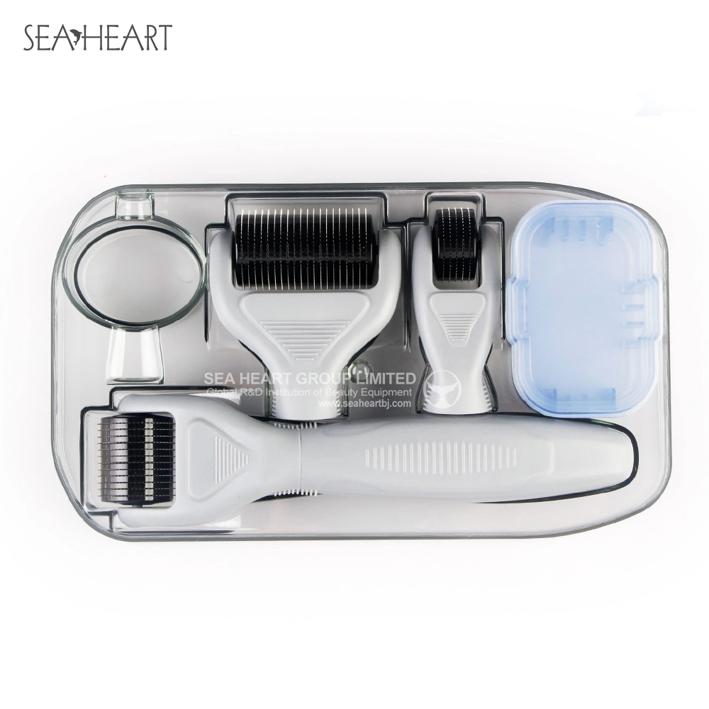 2023 Hot Product 0.5 Micro Derma Roller 4 in 1 Set for Skin Care