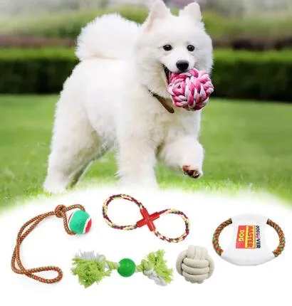 New Design Popular Dental Chew Dog/Pet Toy