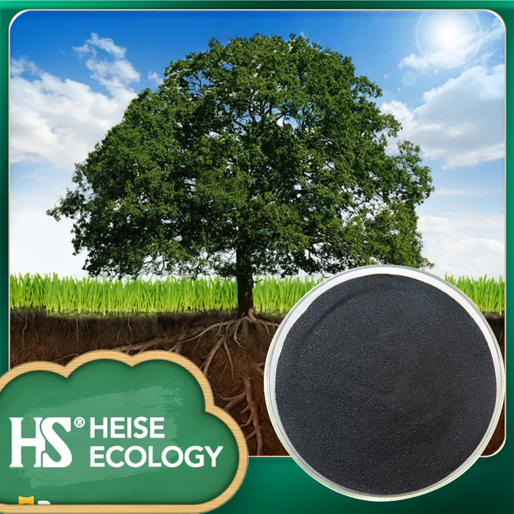 HS-Eco حمض هيوميك حمض فولفيك عالي الجودة مع أسود لامع مسحوق