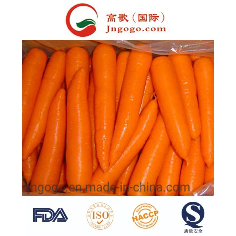 Excellent and Super Fresh Carrot From China