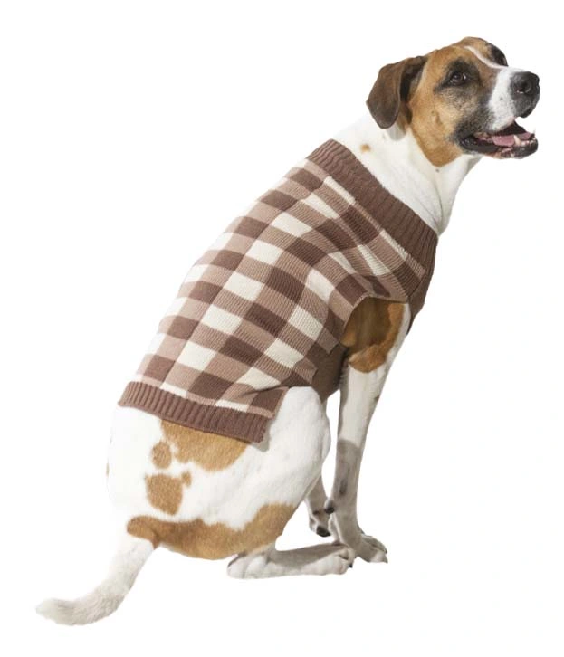Pull de tricot souple pour chien brun bronzé, idéal pour les vacances et les vêtements pour animaux de compagnie.