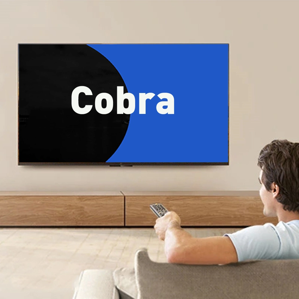 Cobra Spain Germany Arab IPTV Account Server for IPTV TV Box Australia America Arabic IPTV Subscription 12 Months for Free Test