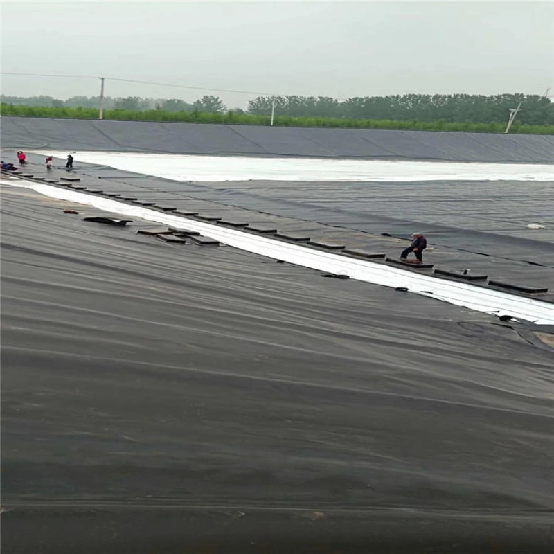 Цена на заводе с УФ защитой HDPE ПВХ EVA гидроизоляции Geomembrane