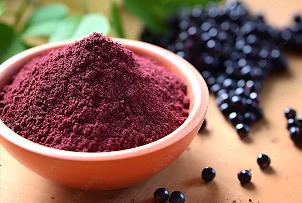 Factory Supplier 100% Natural Water Solubility Black Elderberry Fruit Extract Powder